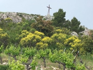 Domaine Saint Cels Garrigue